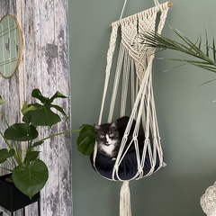 Cat Hammock Swing