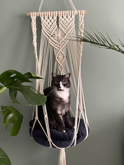 Cat Hammock Swing
