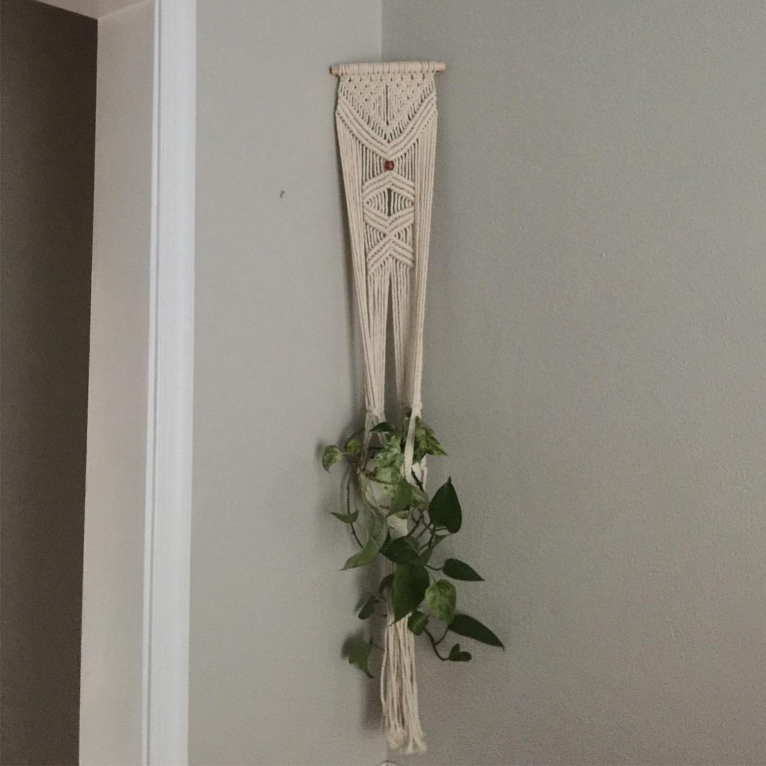 Macramé Hanging Planter with Wall Mount